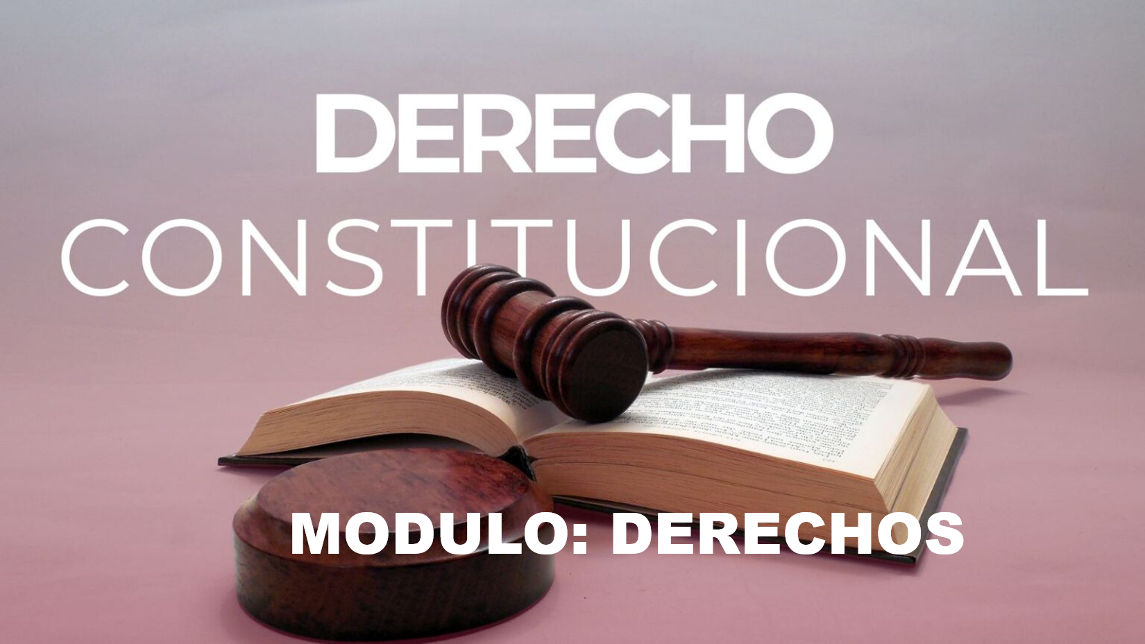Modulo: Derechos de la Constitucion 